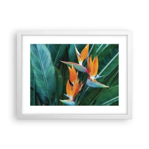 Plakat i hvid ramme - Er det en blomst eller er det en fugl? - 40x30 cm