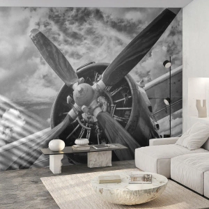 Fototapet Premium Sand - Himmelens erobrer - Fly, Flypropel, Årgang - 350x256 cm
