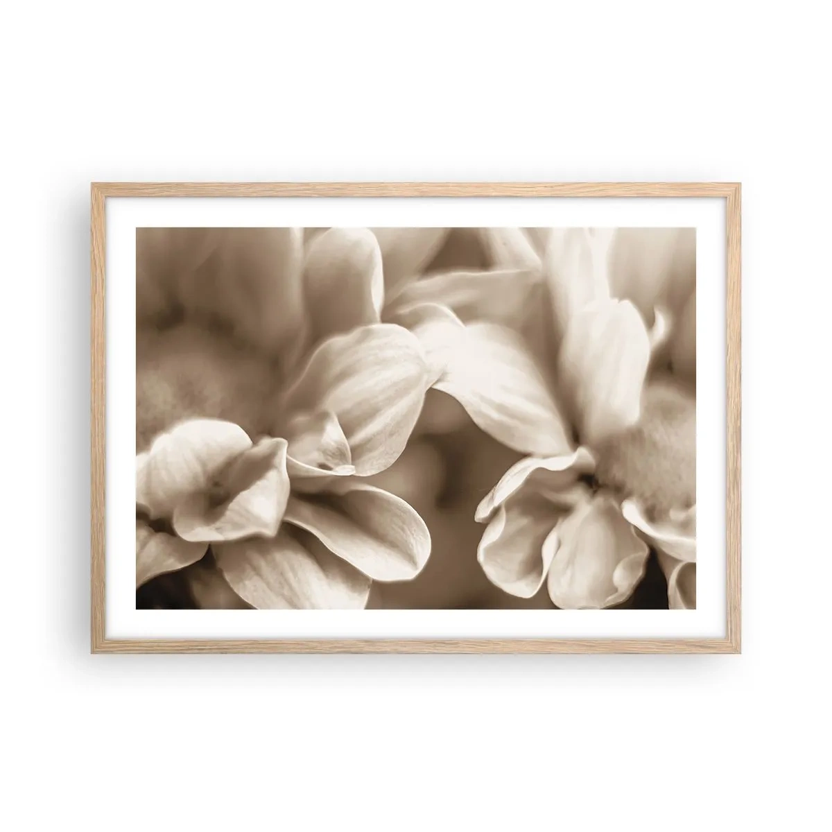 Plakat i ramme af lyst egetræ - Blid som et smil - 70x50 cm