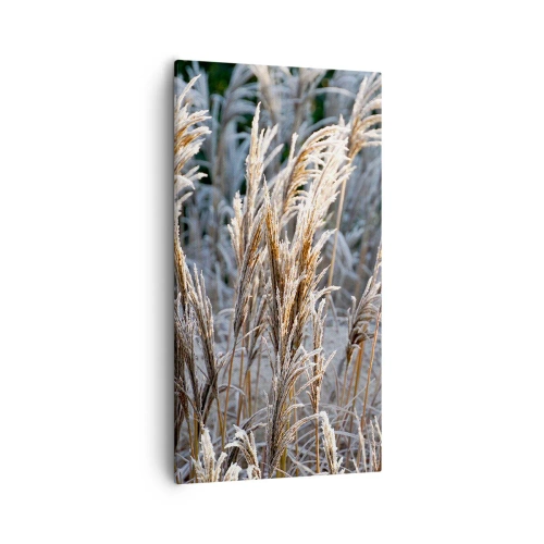 Lærredstryk - Billede på lærred - Pyntet med frost - 55x100 cm