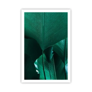 Plakat - Mod lyset - 61x91 cm