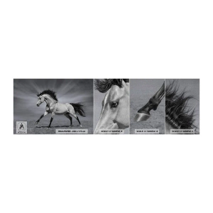 Prøve Fototapet Premium Canvas - Født til glæde - Dyr, Hest, Natur - 100x30 cm