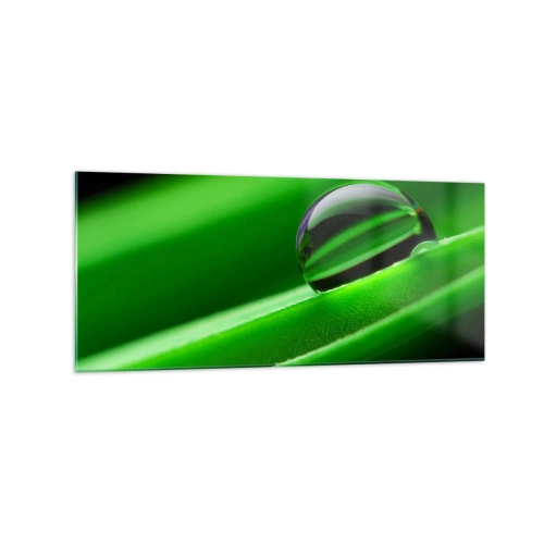 Billede på glas - Livet på tæt hold - 120x50 cm