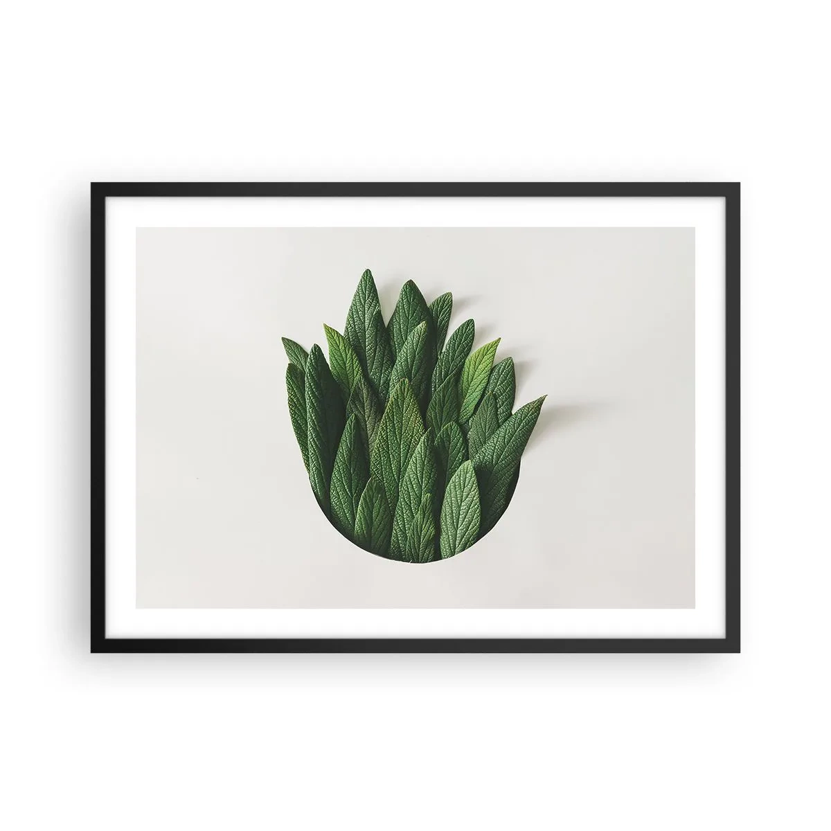Plakat i sort ramme - Uhæmmet nysgerrighed - 70x50 cm