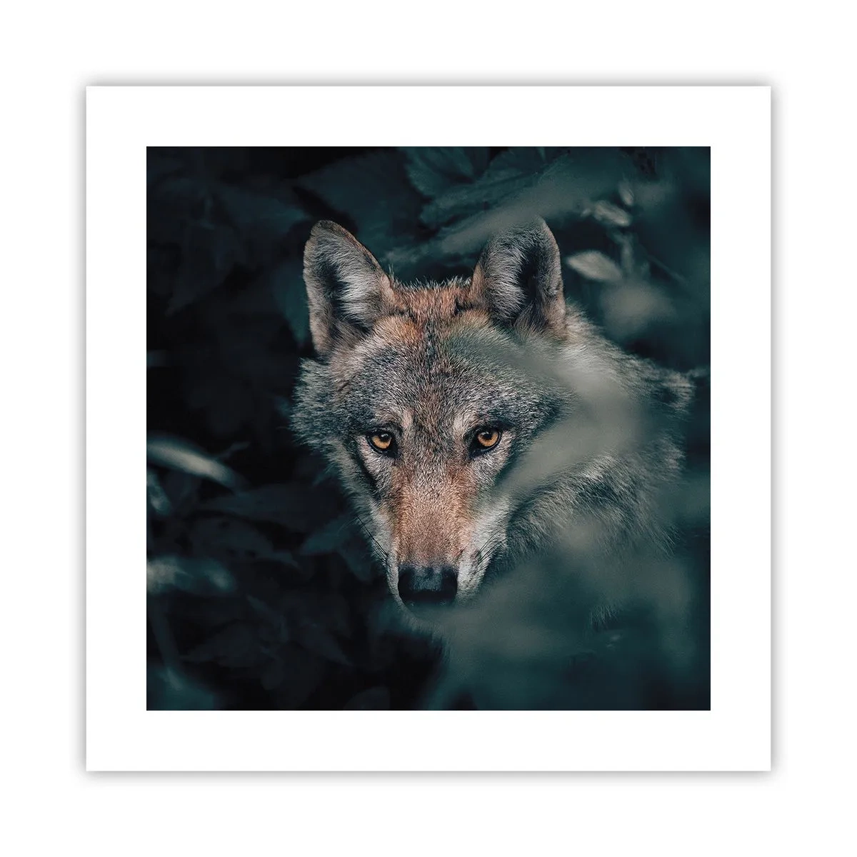 Plakat - Jæger - 40x40 cm