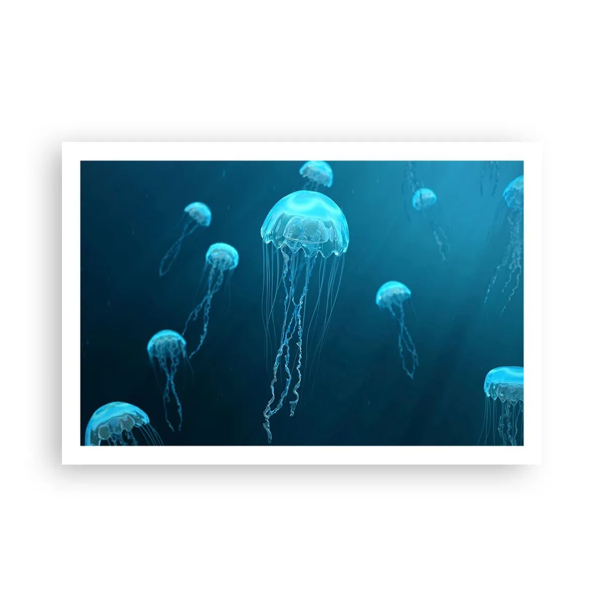 Plakat - Havets dans - 91x61 cm