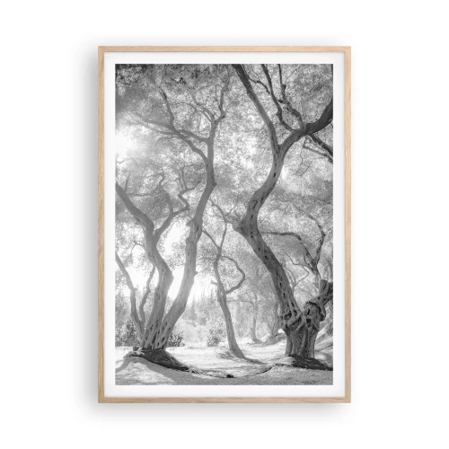 Plakat i ramme af lyst egetræ - I en olivenlund - 70x100 cm