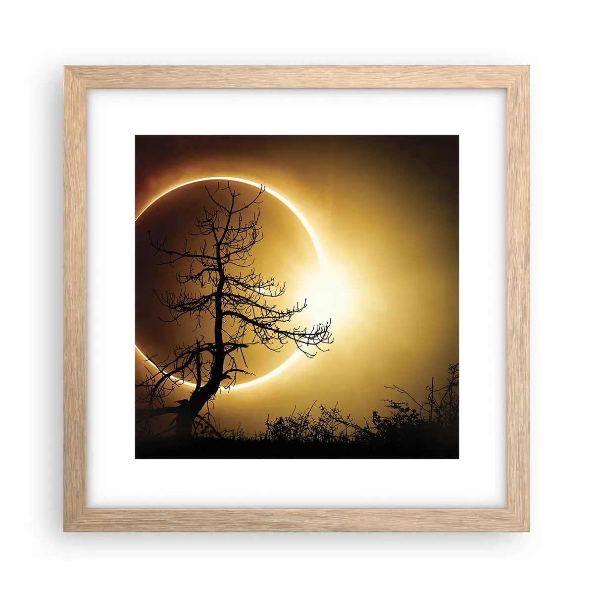 Plakat i ramme af lyst egetræ - Total formørkelse - 30x30 cm