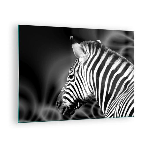 Billede på glas - Zebra i sort-hvid æstetik - 70x50cm - Hvid er hvid og sort er sort - Moderne vægdekoration til stue og soveværelse ARTTOR