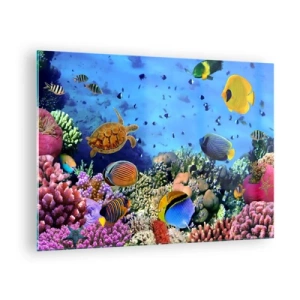Billede på glas - Farverige fisk og en havskildpadde mod et koralrev - 70x50cm - Og hvad ved vi om livet... - Moderne vægdekoration til stue og soveværelse ARTTOR
