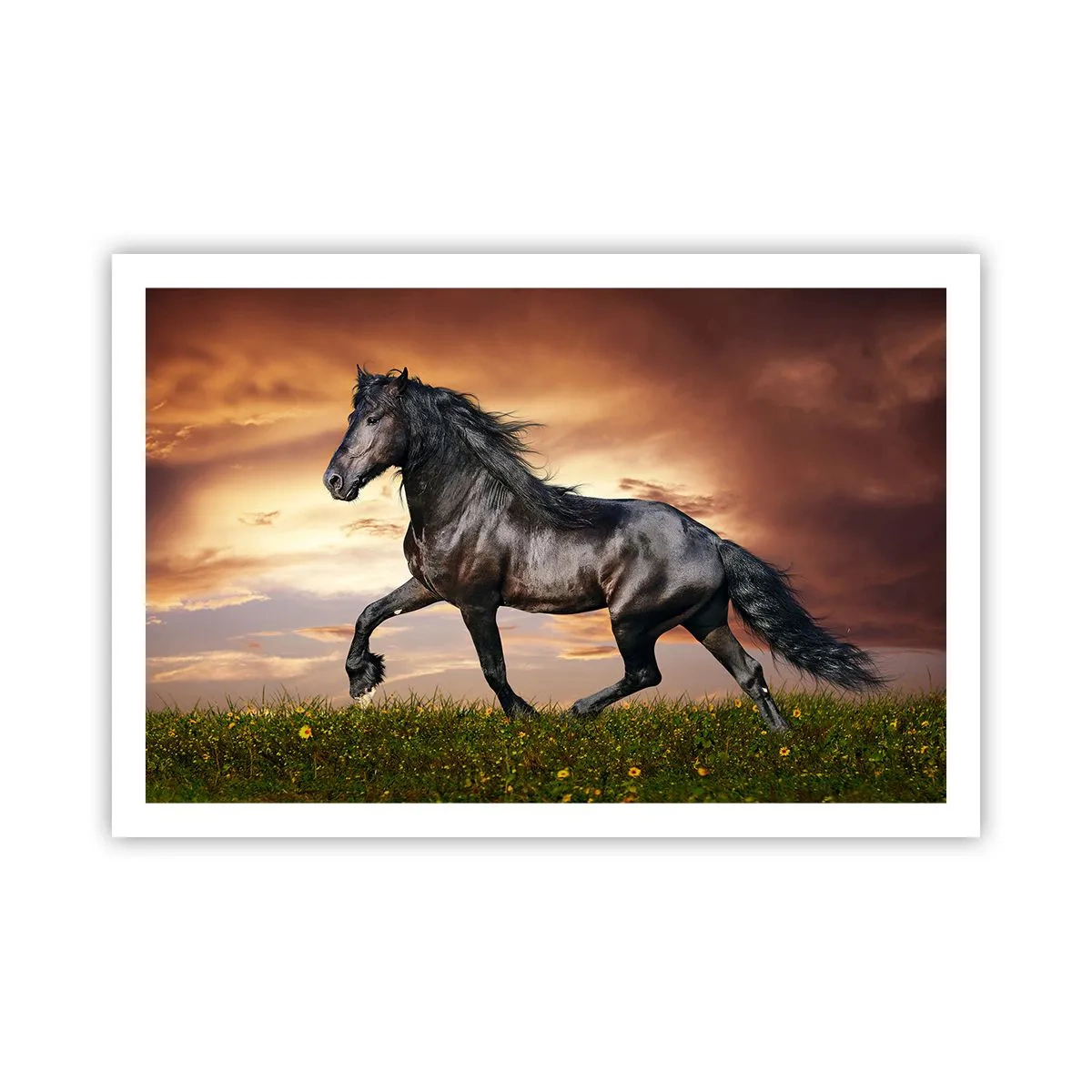 Plakat - Sort prins - 91x61 cm