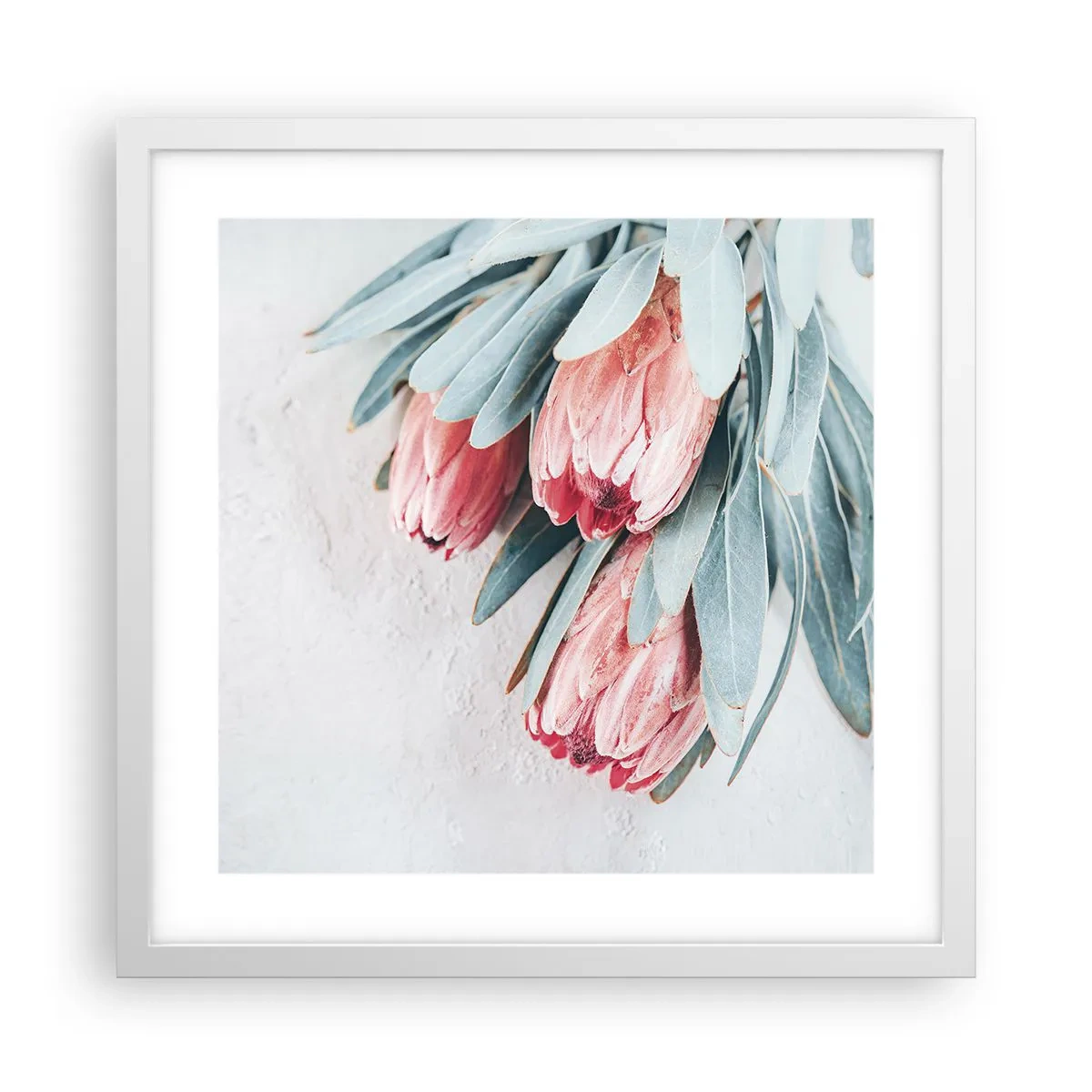 Plakat i hvid ramme - Skammer sig over deres egen skønhed - 40x40 cm