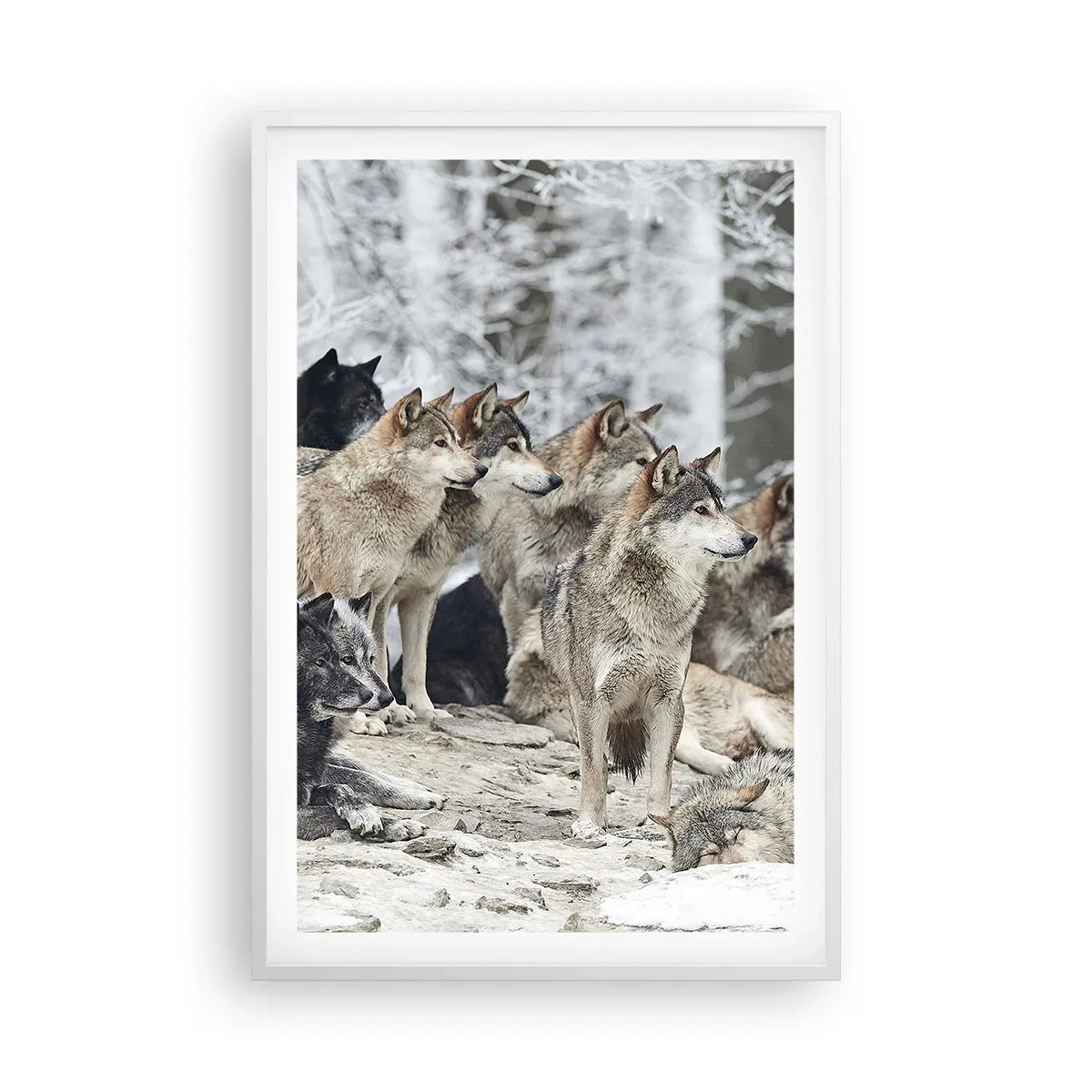 Plakat i hvid ramme - Familie og venner - 61x91 cm