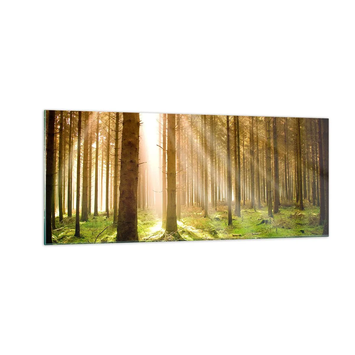 Billede på glas - Nisserne er ved at dukke op - 100x40 cm