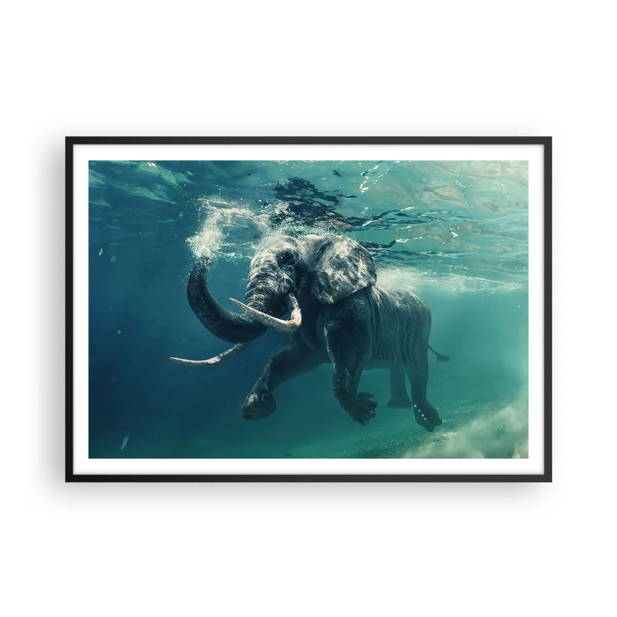 Plakat i sort ramme - Alle kan lide at svømme - 100x70 cm