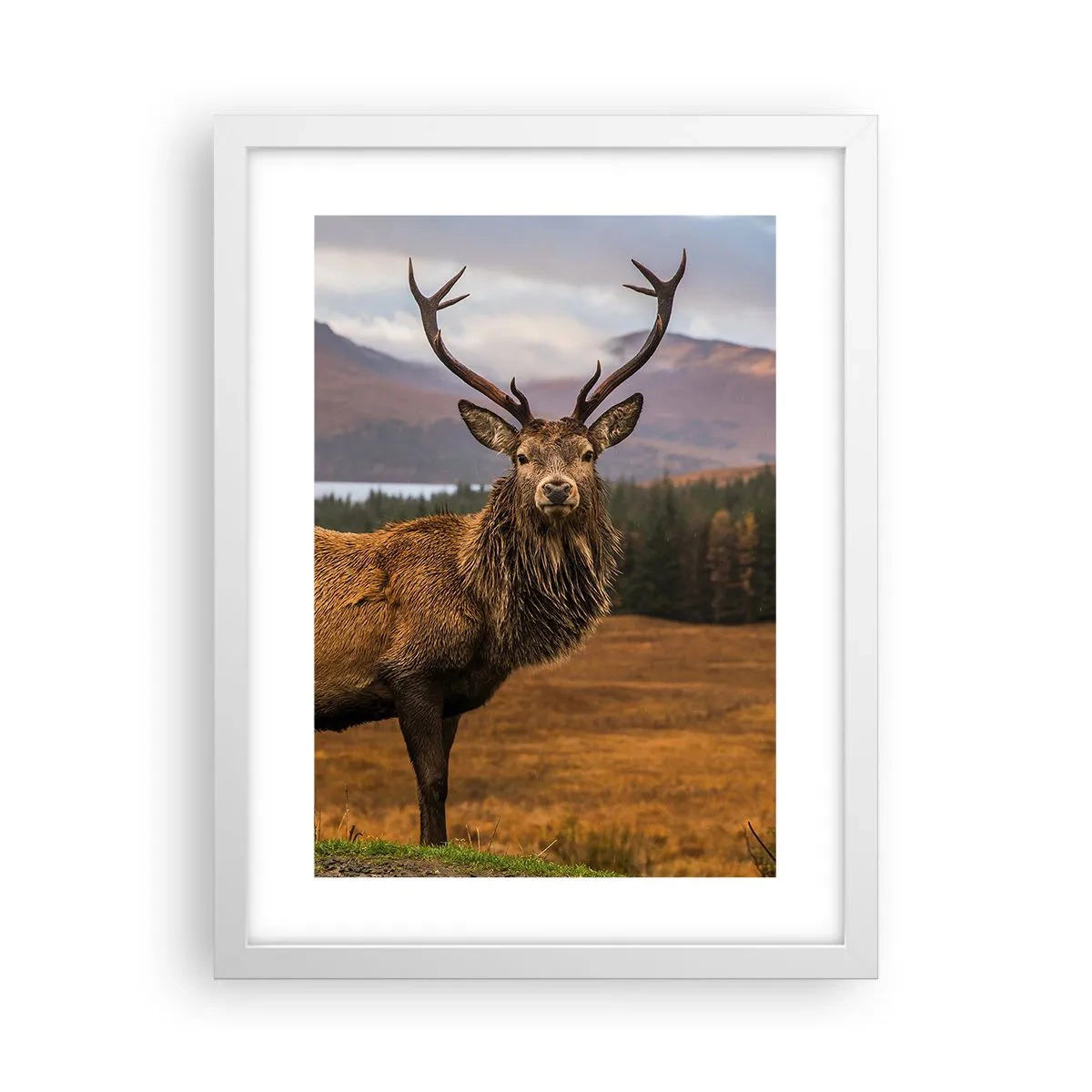 Plakat i hvid ramme - Naturens majestæt - 30x40 cm