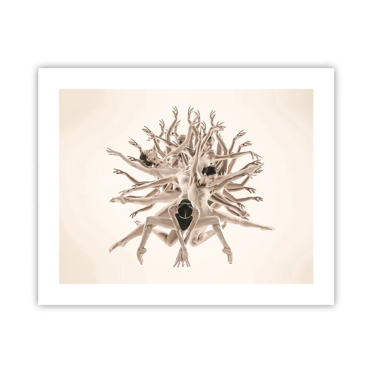 Plakat - Blomstrende i dans - 50x40 cm