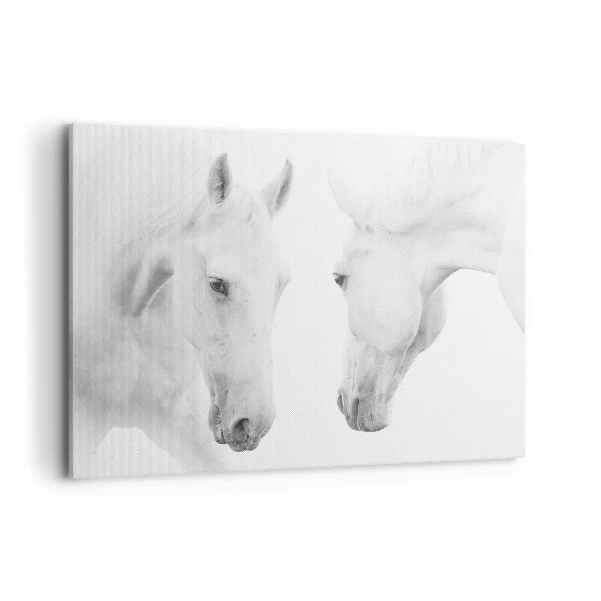 Lærredstryk - Billede på lærred - Er dette venskab...? - 100x70 cm