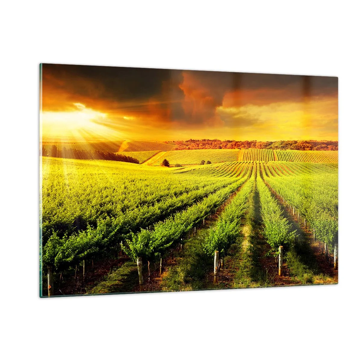 Billede på glas - Under den australske sol - 120x80 cm