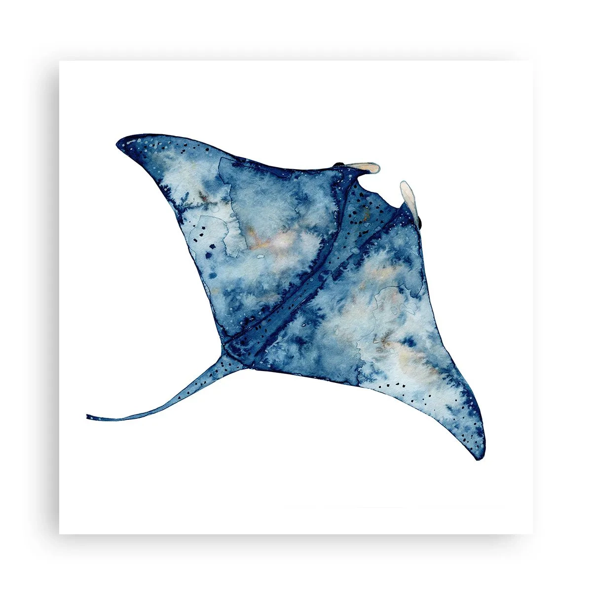 Plakat - Liv i blåt - 60x60 cm