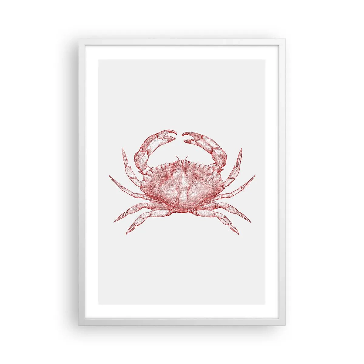 Plakat i hvid ramme - Krabbe over krabber - 50x70 cm