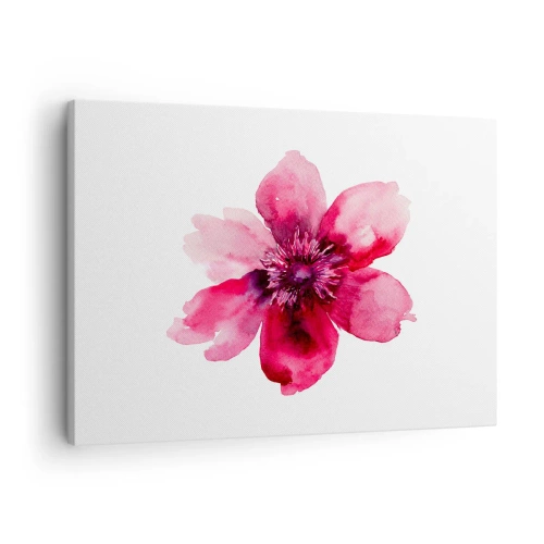 Lærredstryk - Billede på lærred - Lyserød blomst i akvarelstil på hvid baggrund - 70x50cm - Karminduftende kys - Moderne vægdekoration til stue og soveværelse ARTTOR
