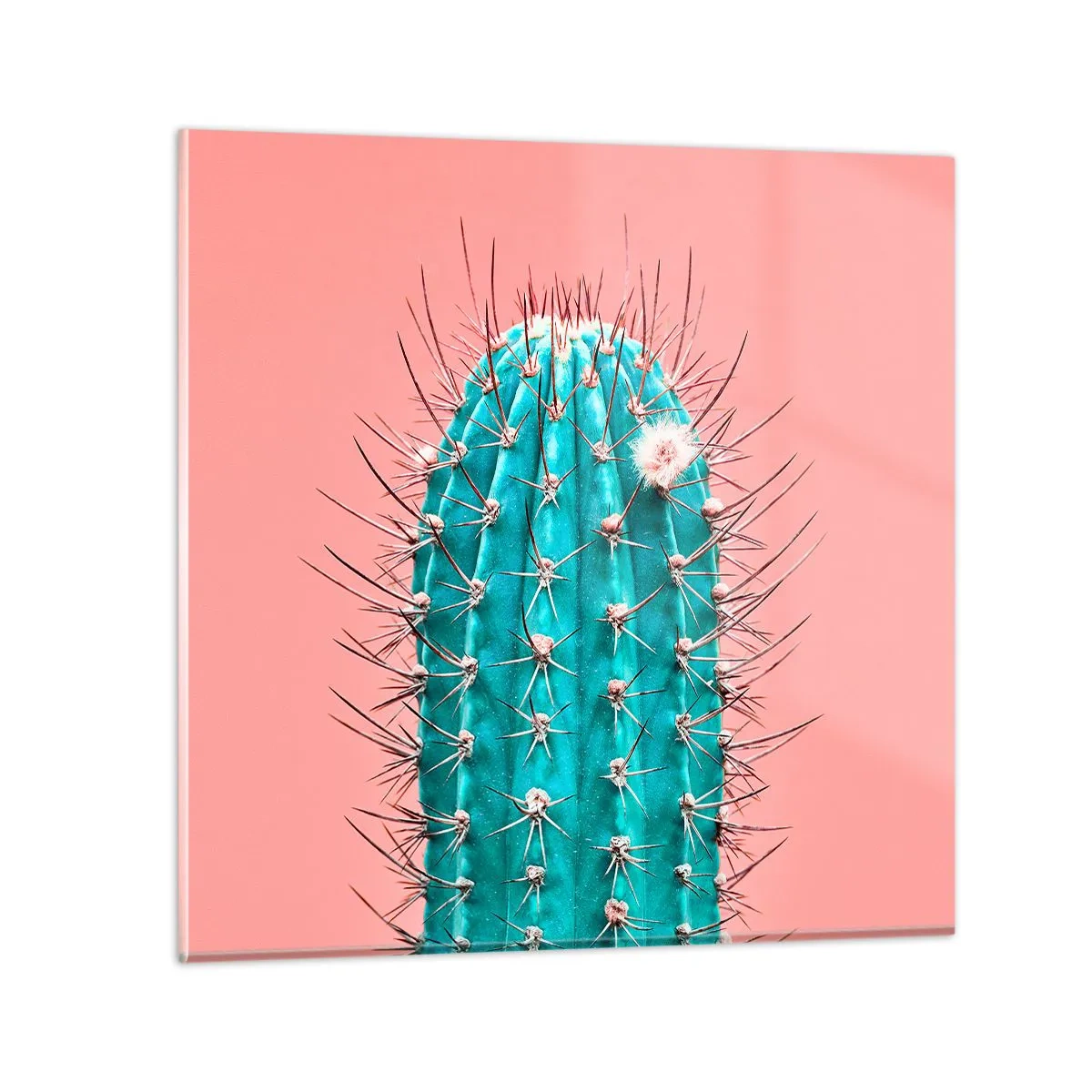 Billede på glas - Bare se - 40x40 cm