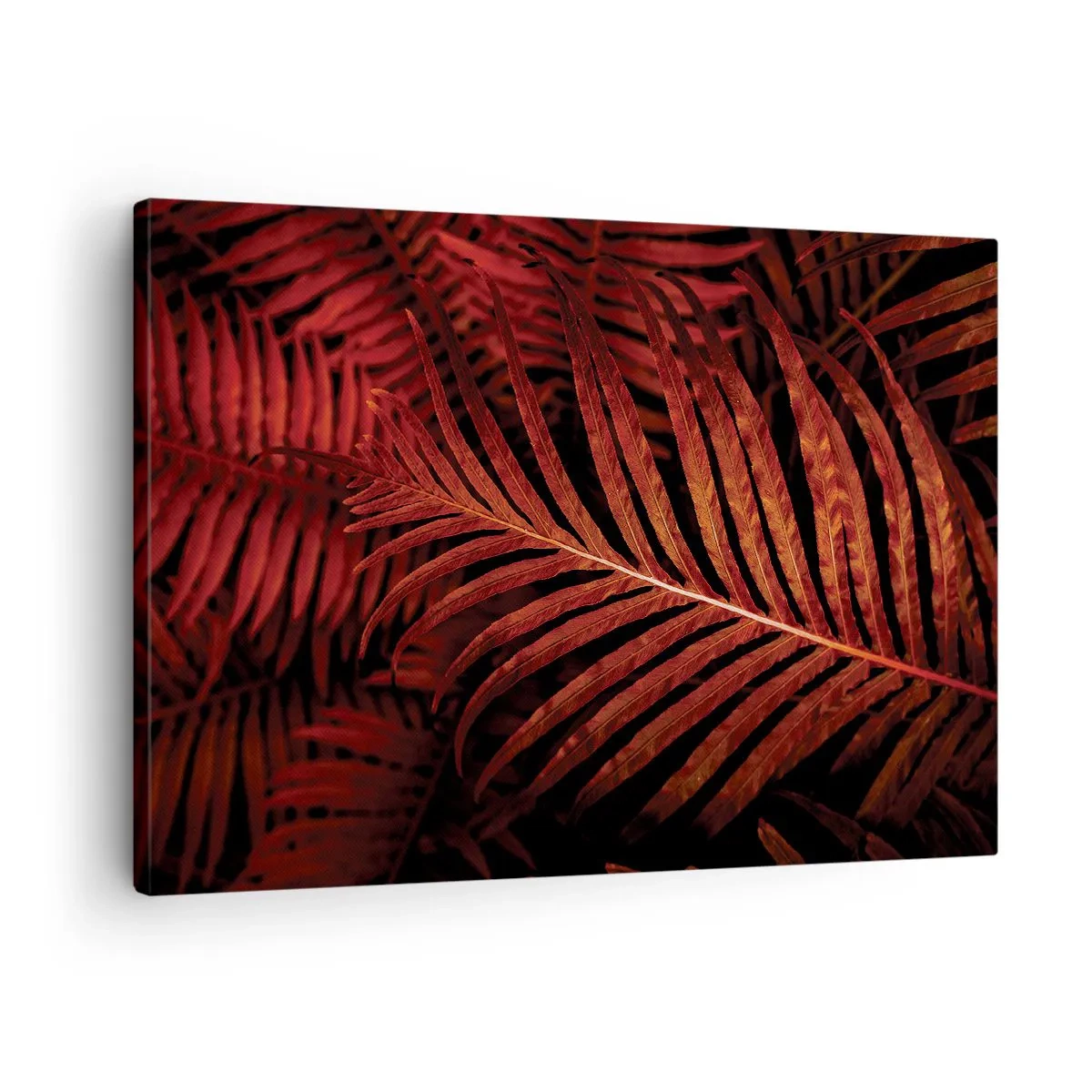 Lærredstryk - Billede på lærred - Livets varme - 70x50 cm