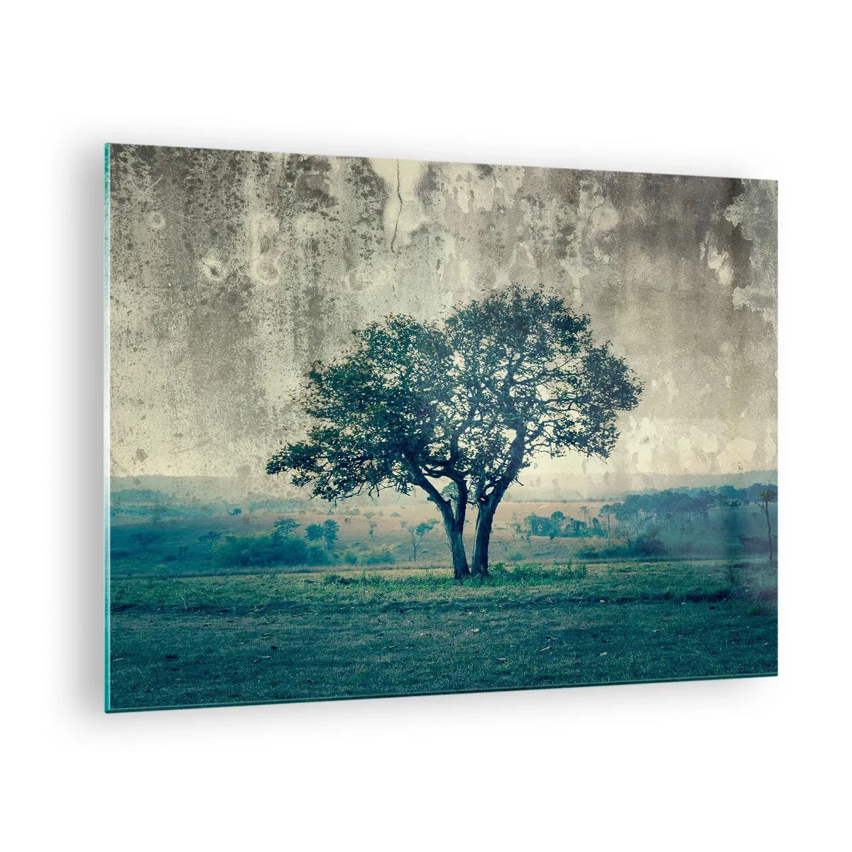 Billede på glas - Et ensomt træ i et vintagelandskab - 70x50cm - Et æbletræ på en blå membran? - Moderne vægdekoration til stue og soveværelse ARTTOR