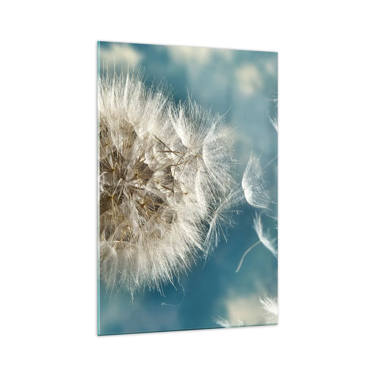 Billede på glas - En engels åndedræt - 70x100 cm