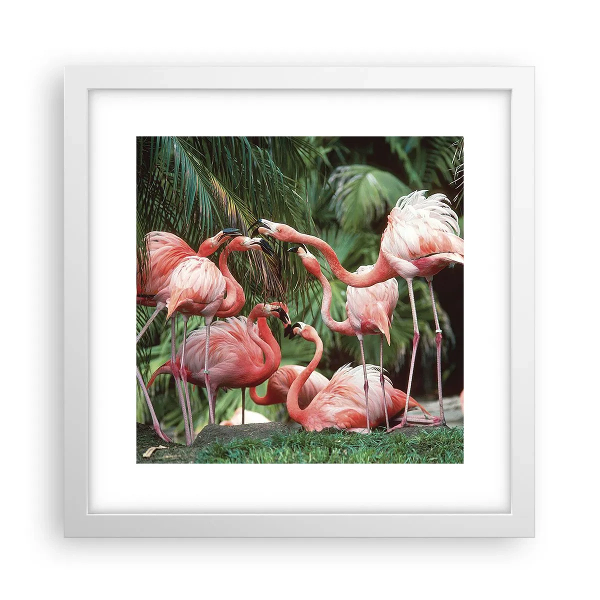 Plakat i hvid ramme - Sladder om eftermiddagen - 30x30 cm