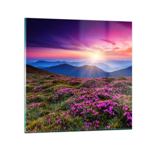 Billede på glas - Urter duftede friske bundter fra niw - 70x70 cm