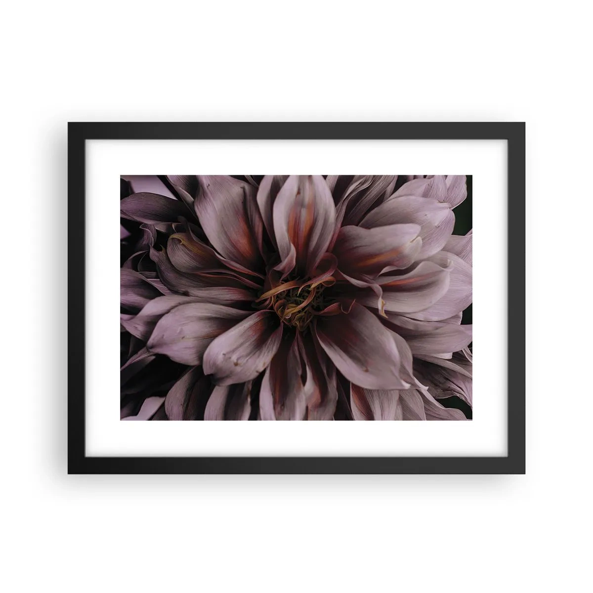 Plakat i sort ramme - Blomstret hjerte - 40x30 cm