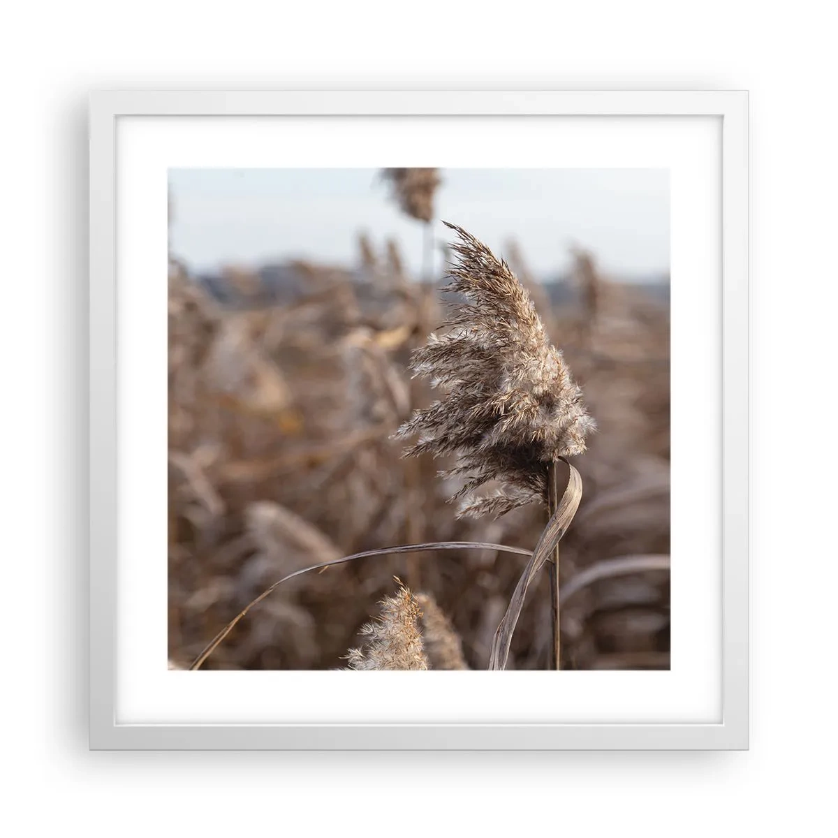 Plakat i hvid ramme - Tid til at flyve væk med vinden - 40x40 cm