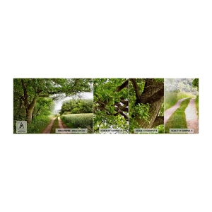 Prøve Fototapet Premium Canvas - Et in Arcadia ego - Landskab, Grusvej, Natur - 100x30 cm