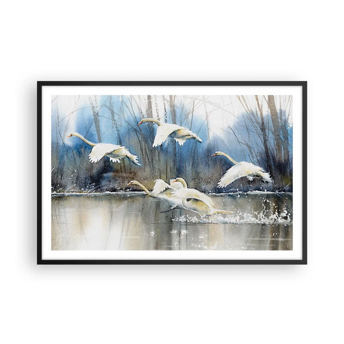 Plakat i sort ramme - Som i en fortælling om vilde svaner - 91x61 cm