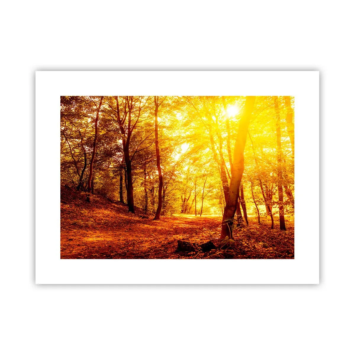 Plakat - Til den gyldne lysning - 40x30 cm