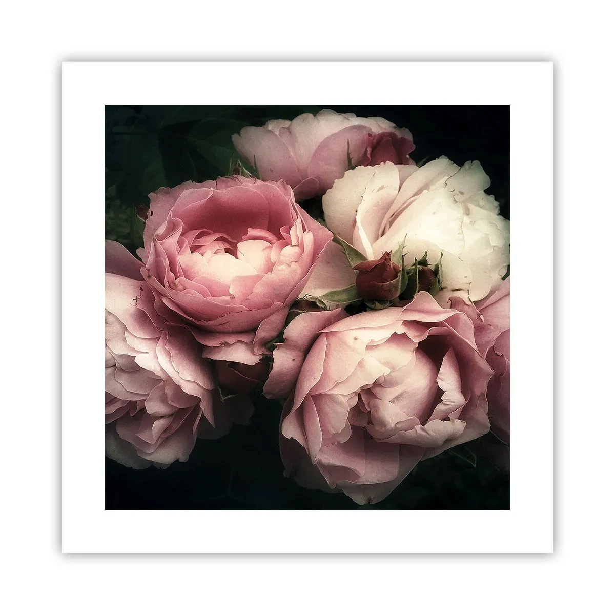 Plakat - Belle epoque charme - 40x40 cm