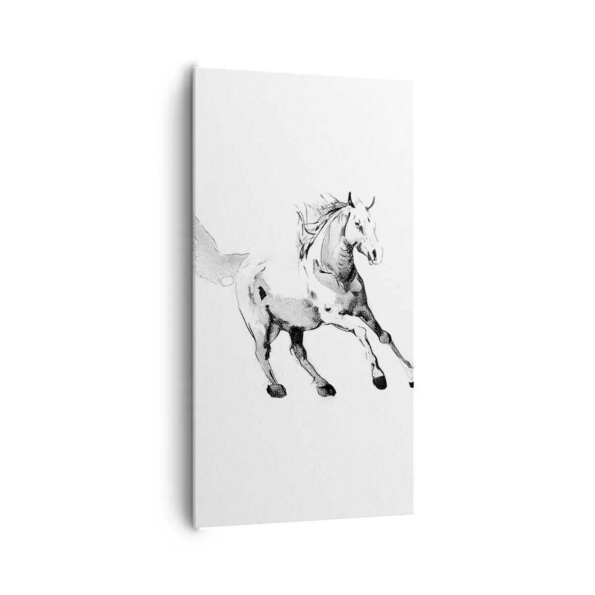 Lærredstryk - Billede på lærred - Utæmmet sjæl - 65x120 cm