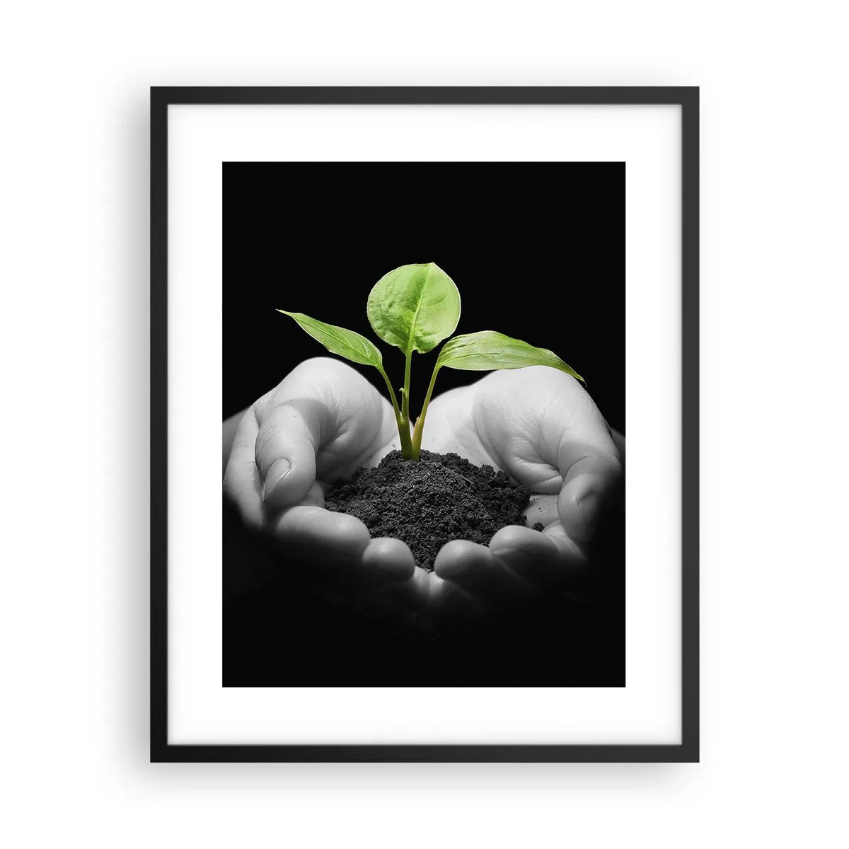 Plakat i sort ramme - Jeg elsker naturen, jeg beskytter den - 40x50 cm