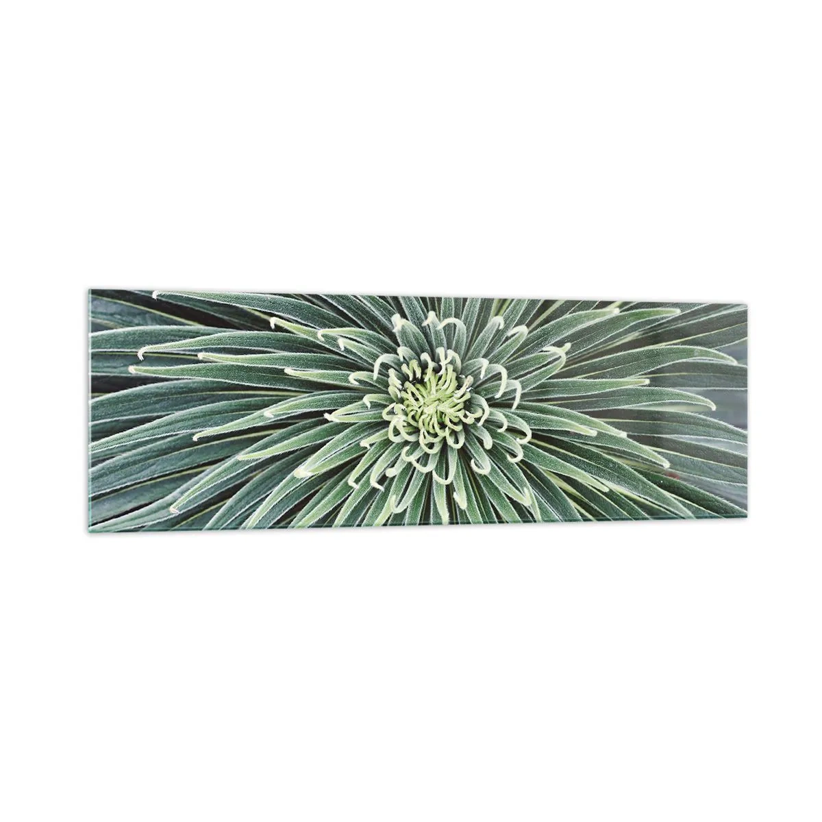 Billede på glas - En stjernes fødsel - 160x50 cm