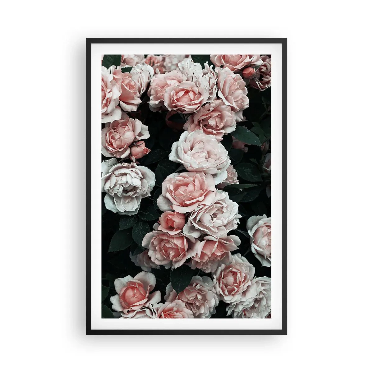 Plakat i sort ramme - Lyserød ansamble - 61x91 cm