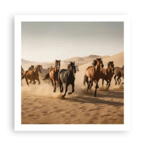 Plakat - Fri som vinden - 60x60 cm