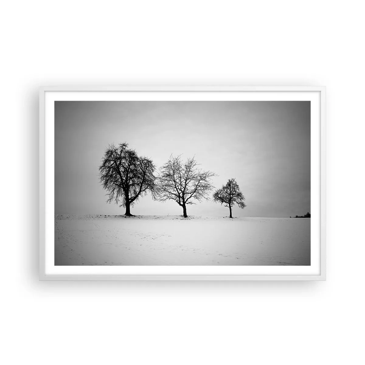 Plakat i hvid ramme - Hvad drømmer de om? - 91x61 cm