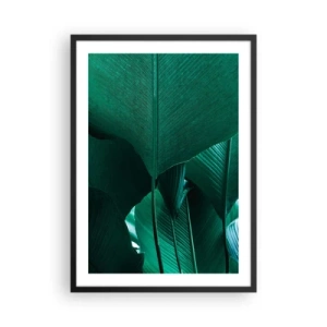 Plakat i sort ramme - Nærbillede af store grønne blade, der viser struktur og tekstur. - 50x70cm - Mod lyset - Moderne vægdekoration til stue og soveværelse ARTTOR