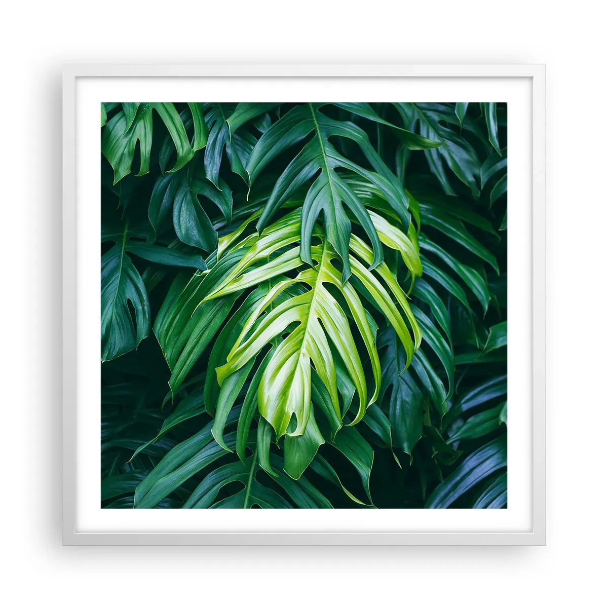 Plakat i hvid ramme - Fordyb dig i friskhed - 60x60 cm