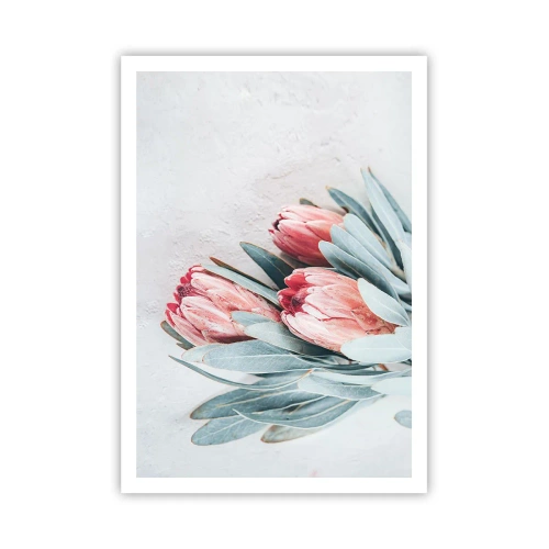 Plakat - Skammer sig over deres egen skønhed - 70x100 cm