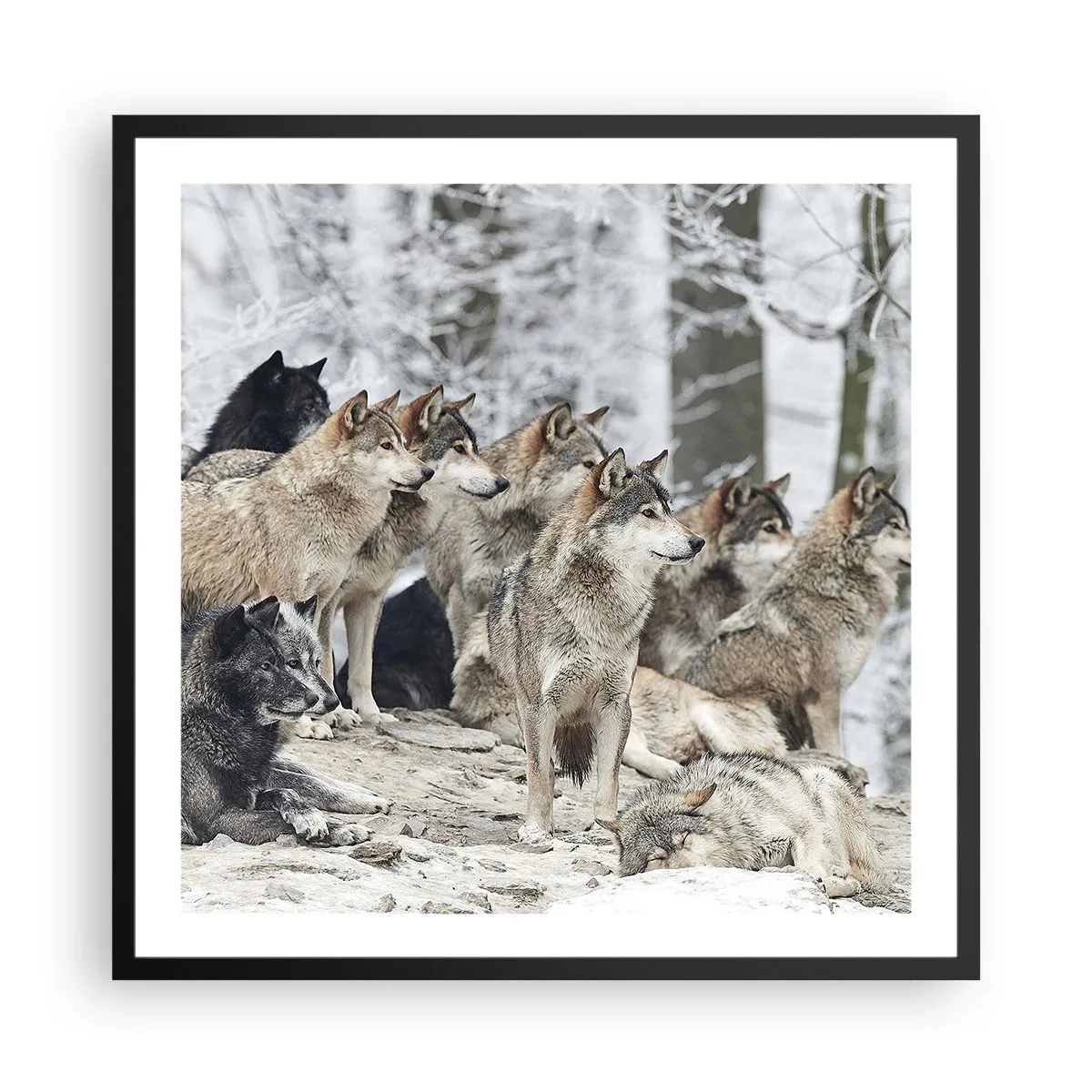 Plakat i sort ramme - Familie og venner - 60x60 cm