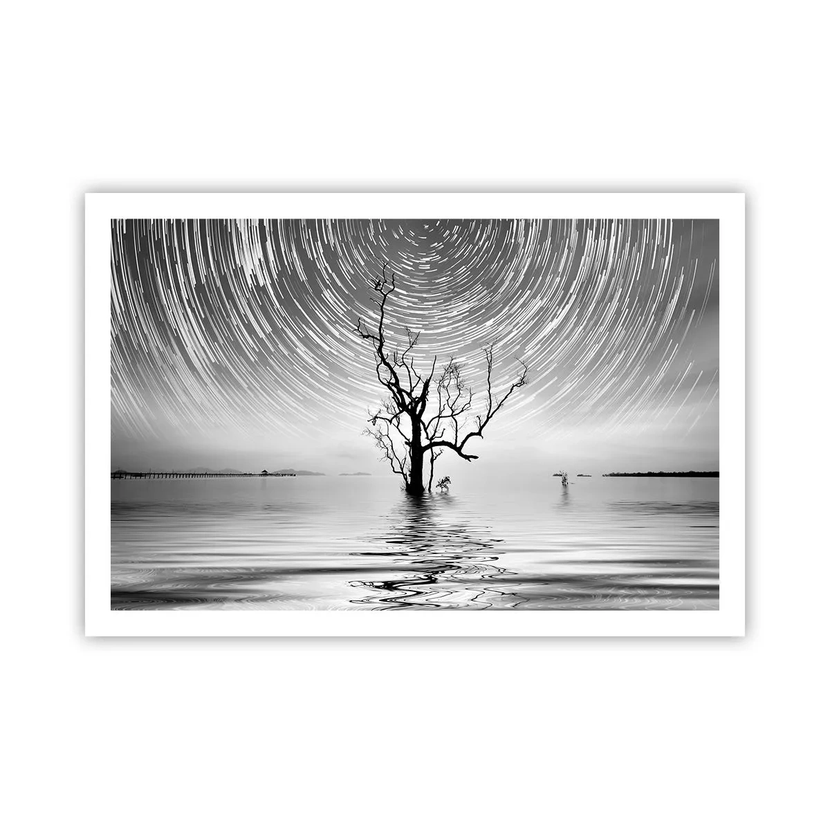 Plakat - En natursymfoni - 91x61 cm