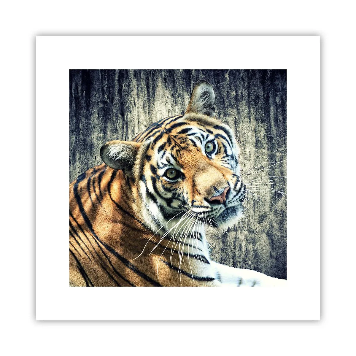 Plakat - Portræt i lysstrømme - 30x30 cm